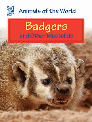cover image of Badgers and Other Mustelids